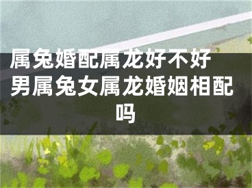 属兔婚配属龙好不好 男属兔女属龙婚姻相配吗