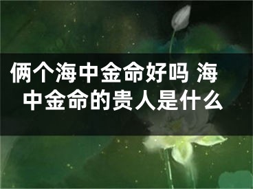 俩个海中金命好吗 海中金命的贵人是什么