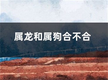 属龙和属狗合不合