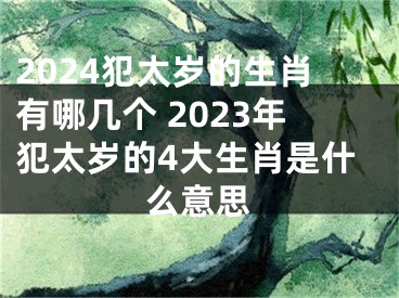 2024犯太岁的生肖有哪几个 2023年犯太岁的4大生肖是什么意思