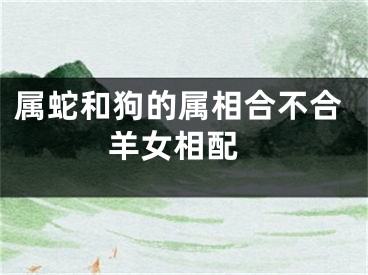 属蛇和狗的属相合不合 羊女相配
