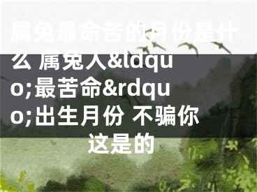 属兔最命苦的月份是什么 属兔人&ldquo;最苦命&rdquo;出生月份 不骗你 这是的
