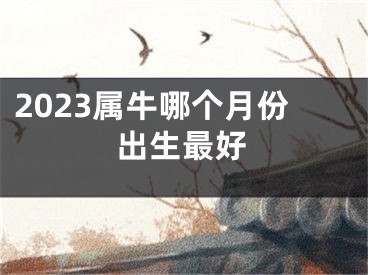 2023属牛哪个月份出生最好