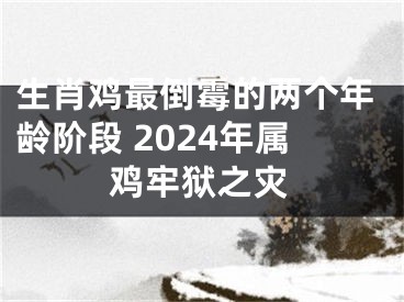 生肖鸡最倒霉的两个年龄阶段 2024年属鸡牢狱之灾