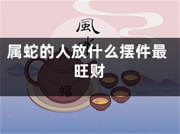 属蛇的人放什么摆件最旺财