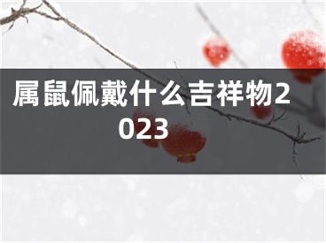 属鼠佩戴什么吉祥物2023