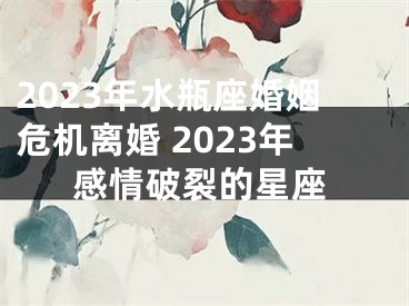 2023年水瓶座婚姻危机离婚 2023年感情破裂的星座
