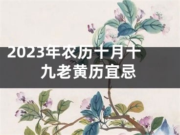 2023年农历十月十九老黄历宜忌