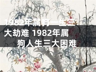 1982年属狗一生三大劫难 1982年属狗人生三大困难