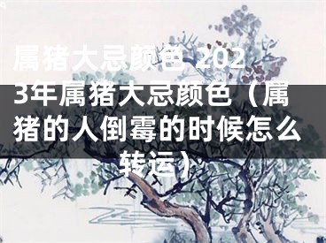 属猪大忌颜色 2023年属猪大忌颜色（属猪的人倒霉的时候怎么转运）