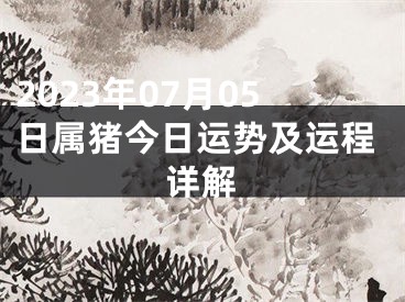 2023年07月05日属猪今日运势及运程详解