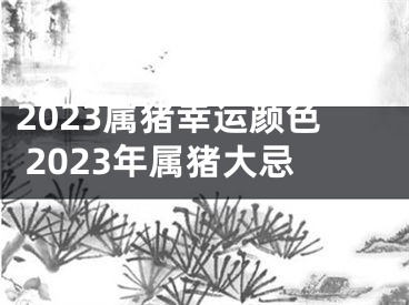 2023属猪幸运颜色 2023年属猪大忌