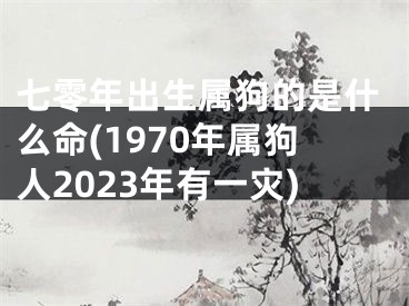 七零年出生属狗的是什么命(1970年属狗人2023年有一灾)