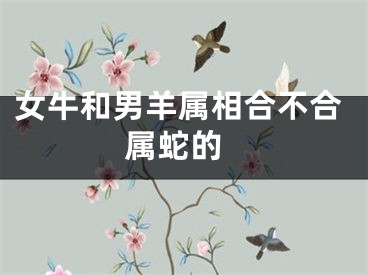 女牛和男羊属相合不合 属蛇的