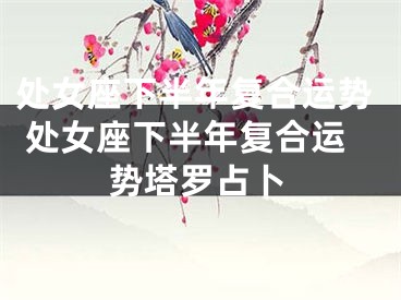 处女座下半年复合运势 处女座下半年复合运势塔罗占卜