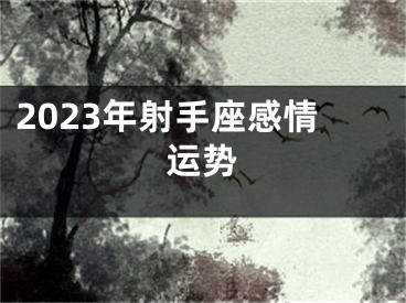 2023年射手座感情运势