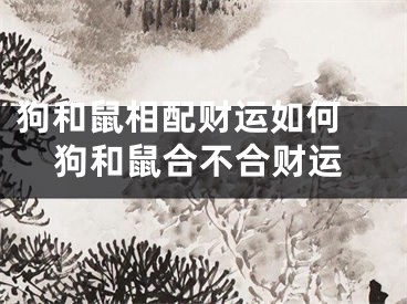 狗和鼠相配财运如何 狗和鼠合不合财运