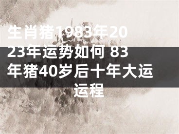 生肖猪1983年2023年运势如何 83年猪40岁后十年大运运程