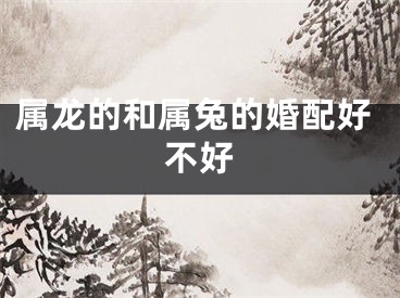 属龙的和属兔的婚配好不好