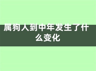 属狗人到中年发生了什么变化