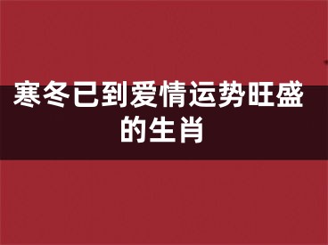寒冬已到爱情运势旺盛的生肖