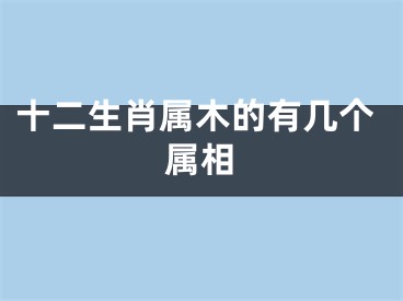 十二生肖属木的有几个属相