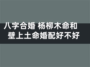 八字合婚 杨柳木命和壁上土命婚配好不好