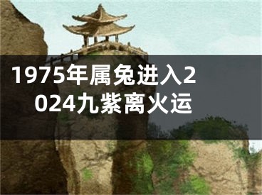1975年属兔进入2024九紫离火运