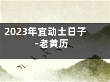 2023年宜动土日子-老黄历