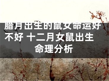 腊月出生的鼠女命运好不好 十二月女鼠出生命理分析