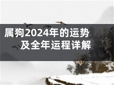 属狗2024年的运势及全年运程详解