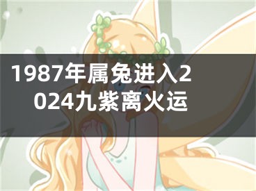 1987年属兔进入2024九紫离火运