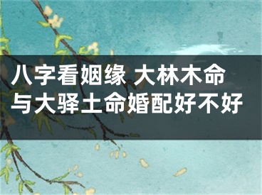 八字看姻缘 大林木命与大驿土命婚配好不好