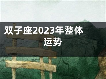 双子座2023年整体运势