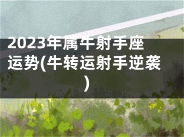 2023年属牛射手座运势(牛转运射手逆袭)