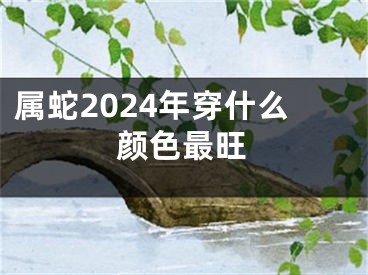 属蛇2024年穿什么颜色最旺