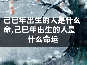 己巳年出生的人是什么命,己巳年出生的人是什么命运