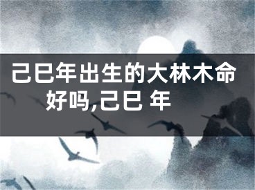 己巳年出生的大林木命好吗,己巳 年