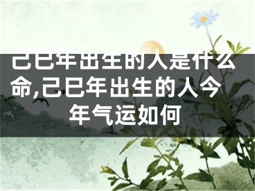 己巳年出生的人是什么命,己巳年出生的人今年气运如何