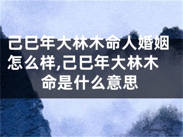 己巳年大林木命人婚姻怎么样,己巳年大林木命是什么意思