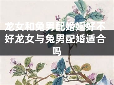 龙女和兔男配婚姻好不好龙女与兔男配婚适合吗