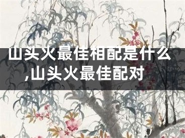 山头火最佳相配是什么,山头火最佳配对