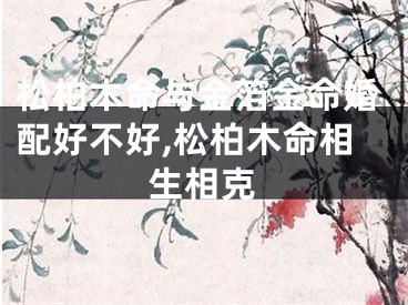 松柏木命与金箔金命婚配好不好,松柏木命相生相克