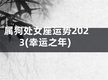 属狗处女座运势2023(幸运之年)