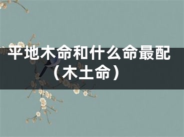 平地木命和什么命最配 （木土命）