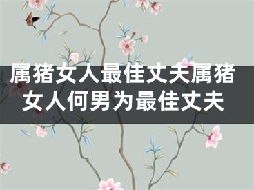 属猪女人最佳丈夫属猪女人何男为最佳丈夫