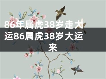 86年属虎38岁走大运86属虎38岁大运来