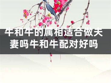 牛和牛的属相适合做夫妻吗牛和牛配对好吗