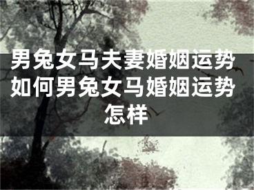 男兔女马夫妻婚姻运势如何男兔女马婚姻运势怎样
