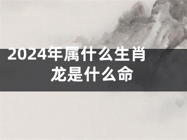 2024年属什么生肖龙是什么命